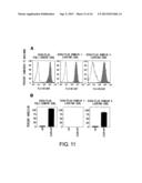 METHODS FOR DETECTING TH1 CELLS diagram and image