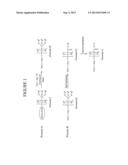 METHOD FOR PREPARING WATER-SOLUBLE POLYMER DERIVATIVES BEARING AN     N-SUCCINIMIDYL ESTER diagram and image