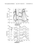 APPARATUS AND METHODS FOR CHARACTERIZATION OF LUNG TISSUE BY RAMAN     SPECTROSCOPY diagram and image