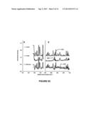 APPARATUS AND METHODS FOR CHARACTERIZATION OF LUNG TISSUE BY RAMAN     SPECTROSCOPY diagram and image