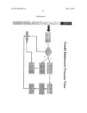 Purchase Order Amendment and Negotiation in a Full Service Trade System diagram and image