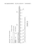 WATERMARK GENERATOR, WATERMARK DECODER, METHOD FOR PROVIDING A WATERMARK     SIGNAL, METHOD FOR PROVIDING BINARY MESSAGE DATA IN DEPENDENCE ON A     WATERMARKED SIGNAL AND A COMPUTER PROGRAM USING IMPROVED SYNCHRONIZATION     CONCEPT diagram and image