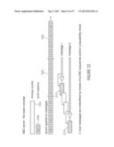 WATERMARK GENERATOR, WATERMARK DECODER, METHOD FOR PROVIDING A WATERMARK     SIGNAL, METHOD FOR PROVIDING BINARY MESSAGE DATA IN DEPENDENCE ON A     WATERMARKED SIGNAL AND A COMPUTER PROGRAM USING IMPROVED SYNCHRONIZATION     CONCEPT diagram and image