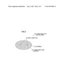 DIFFERENTIAL TRANSMISSION CABLE AND METHOD OF MANUFACTURING THE SAME diagram and image