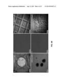 CHARACTERIZATION OF NANOSCALE STRUCTURES USING AN ULTRAFAST ELECTRON     MICROSCOPE diagram and image