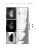 CHARACTERIZATION OF NANOSCALE STRUCTURES USING AN ULTRAFAST ELECTRON     MICROSCOPE diagram and image