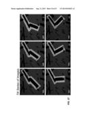 CHARACTERIZATION OF NANOSCALE STRUCTURES USING AN ULTRAFAST ELECTRON     MICROSCOPE diagram and image