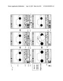 USER INTERFACE TOOLS FOR CROPPING AND STRAIGHTENING IMAGE diagram and image