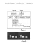 CAMERA SYSTEM FOR THREE-DIMENSIONAL THERMAL IMAGING diagram and image