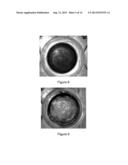 METHOD FOR ALTERING THE OPTICAL DENSITY AND SPECTRAL TRANSMISSION OR     REFLECTANCE OF CONTACT LENSES diagram and image