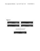 Computationally Efficient Feature Extraction and Matching Iris Recognition diagram and image