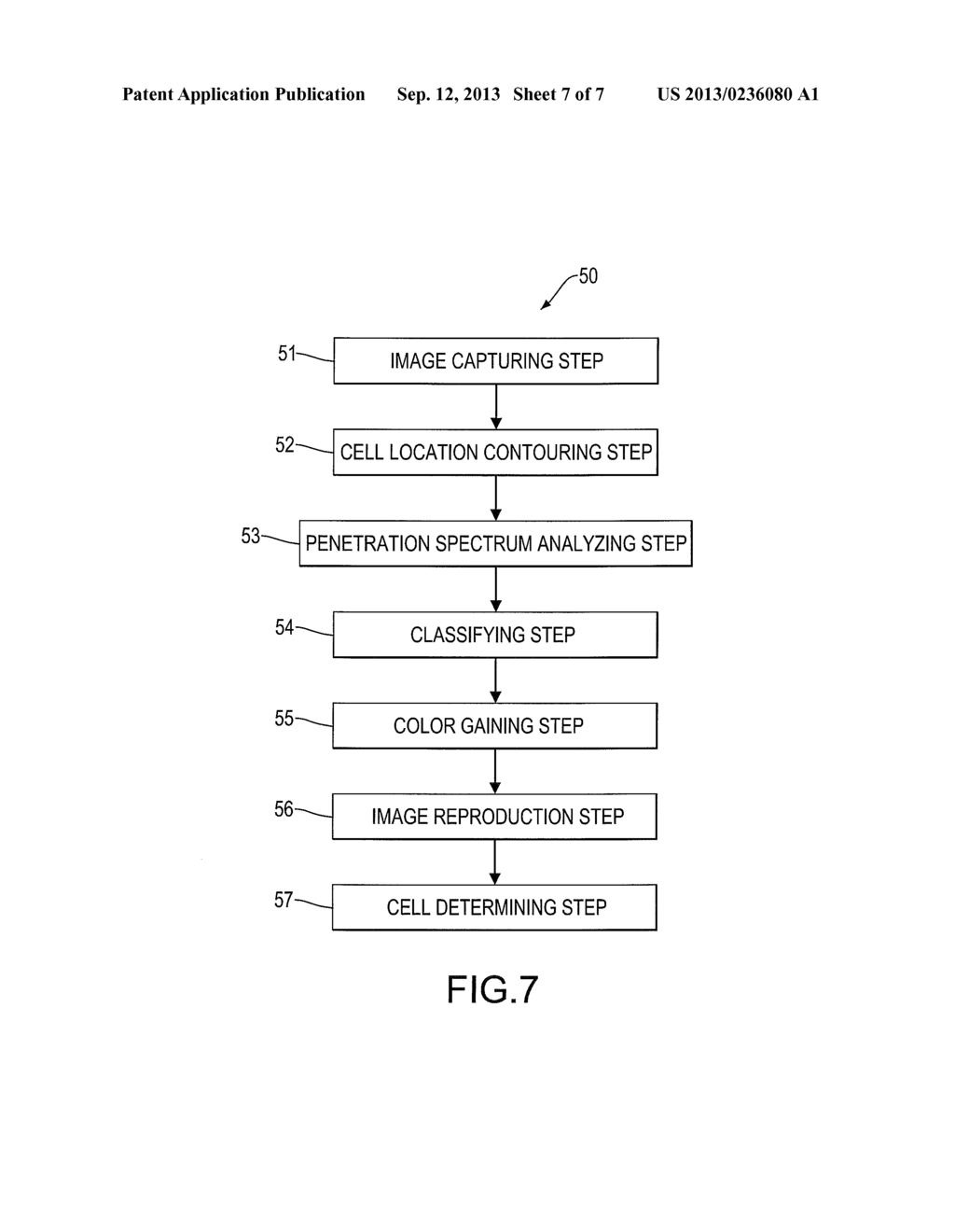 Image Analysis System and Method for Determining Cancerous Cells - diagram, schematic, and image 08