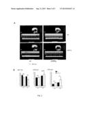 COMPOSITIONS, KITS AND METHODS FOR TREATMENT OF CARDIOVASCULAR,     IMMUNOLOGICAL AND INFLAMMATORY DISEASES diagram and image