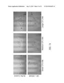 COMPOSITIONS AND METHODS COMPRISING GLYCYL-tRNA SYNTHETASES HAVING     NON-CANONICAL BIOLOGICAL ACTIVITIES diagram and image