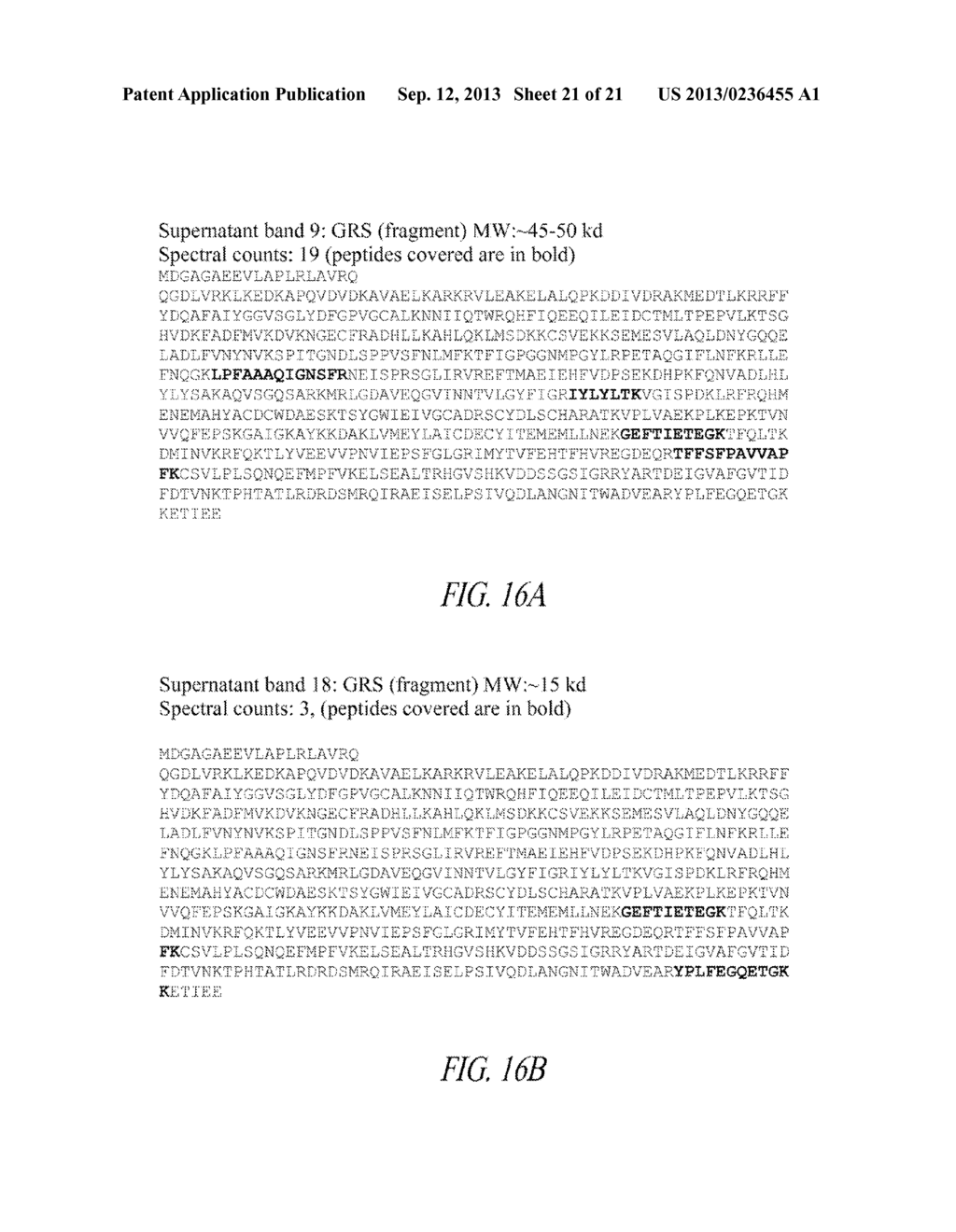 COMPOSITIONS AND METHODS COMPRISING GLYCYL-tRNA SYNTHETASES HAVING     NON-CANONICAL BIOLOGICAL ACTIVITIES - diagram, schematic, and image 22