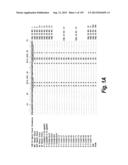 MONOSPECIFIC AND BISPECIFIC ANTI-IGF-1R AND ANTI-ERBB3 ANTIBODIES diagram and image