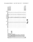 MONOSPECIFIC AND BISPECIFIC ANTI-IGF-1R AND ANTI-ERBB3 ANTIBODIES diagram and image