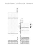 MONOSPECIFIC AND BISPECIFIC ANTI-IGF-1R AND ANTI-ERBB3 ANTIBODIES diagram and image