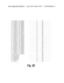 MONOSPECIFIC AND BISPECIFIC ANTI-IGF-1R AND ANTI-ERBB3 ANTIBODIES diagram and image