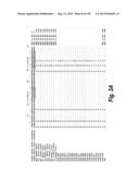 MONOSPECIFIC AND BISPECIFIC ANTI-IGF-1R AND ANTI-ERBB3 ANTIBODIES diagram and image