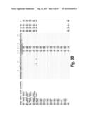 MONOSPECIFIC AND BISPECIFIC ANTI-IGF-1R AND ANTI-ERBB3 ANTIBODIES diagram and image