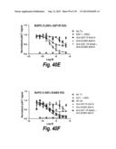 MONOSPECIFIC AND BISPECIFIC ANTI-IGF-1R AND ANTI-ERBB3 ANTIBODIES diagram and image