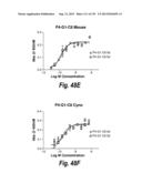 MONOSPECIFIC AND BISPECIFIC ANTI-IGF-1R AND ANTI-ERBB3 ANTIBODIES diagram and image