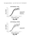 MONOSPECIFIC AND BISPECIFIC ANTI-IGF-1R AND ANTI-ERBB3 ANTIBODIES diagram and image