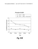 MONOSPECIFIC AND BISPECIFIC ANTI-IGF-1R AND ANTI-ERBB3 ANTIBODIES diagram and image