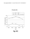 MONOSPECIFIC AND BISPECIFIC ANTI-IGF-1R AND ANTI-ERBB3 ANTIBODIES diagram and image