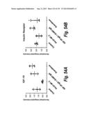 MONOSPECIFIC AND BISPECIFIC ANTI-IGF-1R AND ANTI-ERBB3 ANTIBODIES diagram and image