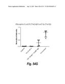 MONOSPECIFIC AND BISPECIFIC ANTI-IGF-1R AND ANTI-ERBB3 ANTIBODIES diagram and image