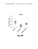 MONOSPECIFIC AND BISPECIFIC ANTI-IGF-1R AND ANTI-ERBB3 ANTIBODIES diagram and image