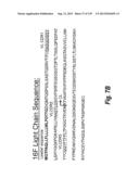 MONOSPECIFIC AND BISPECIFIC ANTI-IGF-1R AND ANTI-ERBB3 ANTIBODIES diagram and image