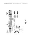 MONOSPECIFIC AND BISPECIFIC ANTI-IGF-1R AND ANTI-ERBB3 ANTIBODIES diagram and image