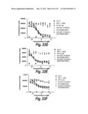 MONOSPECIFIC AND BISPECIFIC ANTI-IGF-1R AND ANTI-ERBB3 ANTIBODIES diagram and image