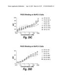 MONOSPECIFIC AND BISPECIFIC ANTI-IGF-1R AND ANTI-ERBB3 ANTIBODIES diagram and image