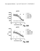 MONOSPECIFIC AND BISPECIFIC ANTI-IGF-1R AND ANTI-ERBB3 ANTIBODIES diagram and image