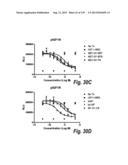 MONOSPECIFIC AND BISPECIFIC ANTI-IGF-1R AND ANTI-ERBB3 ANTIBODIES diagram and image