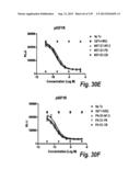 MONOSPECIFIC AND BISPECIFIC ANTI-IGF-1R AND ANTI-ERBB3 ANTIBODIES diagram and image