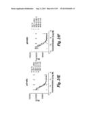 MONOSPECIFIC AND BISPECIFIC ANTI-IGF-1R AND ANTI-ERBB3 ANTIBODIES diagram and image