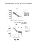 MONOSPECIFIC AND BISPECIFIC ANTI-IGF-1R AND ANTI-ERBB3 ANTIBODIES diagram and image