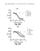 MONOSPECIFIC AND BISPECIFIC ANTI-IGF-1R AND ANTI-ERBB3 ANTIBODIES diagram and image