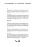 MONOSPECIFIC AND BISPECIFIC ANTI-IGF-1R AND ANTI-ERBB3 ANTIBODIES diagram and image