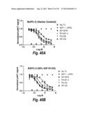 MONOSPECIFIC AND BISPECIFIC ANTI-IGF-1R AND ANTI-ERBB3 ANTIBODIES diagram and image