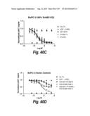 MONOSPECIFIC AND BISPECIFIC ANTI-IGF-1R AND ANTI-ERBB3 ANTIBODIES diagram and image