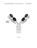 ANTIBODIES THAT BIND IL-4 AND/OR IL-13 AND THEIR USES diagram and image