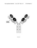 ANTIBODIES THAT BIND IL-4 AND/OR IL-13 AND THEIR USES diagram and image