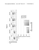 ANTI-CLTA4, ANTI-GLUT2 PROTEIN FOR THE TREATMENT OF TYPE 1 DIABETES diagram and image