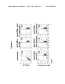 ANTI-CLTA4, ANTI-GLUT2 PROTEIN FOR THE TREATMENT OF TYPE 1 DIABETES diagram and image